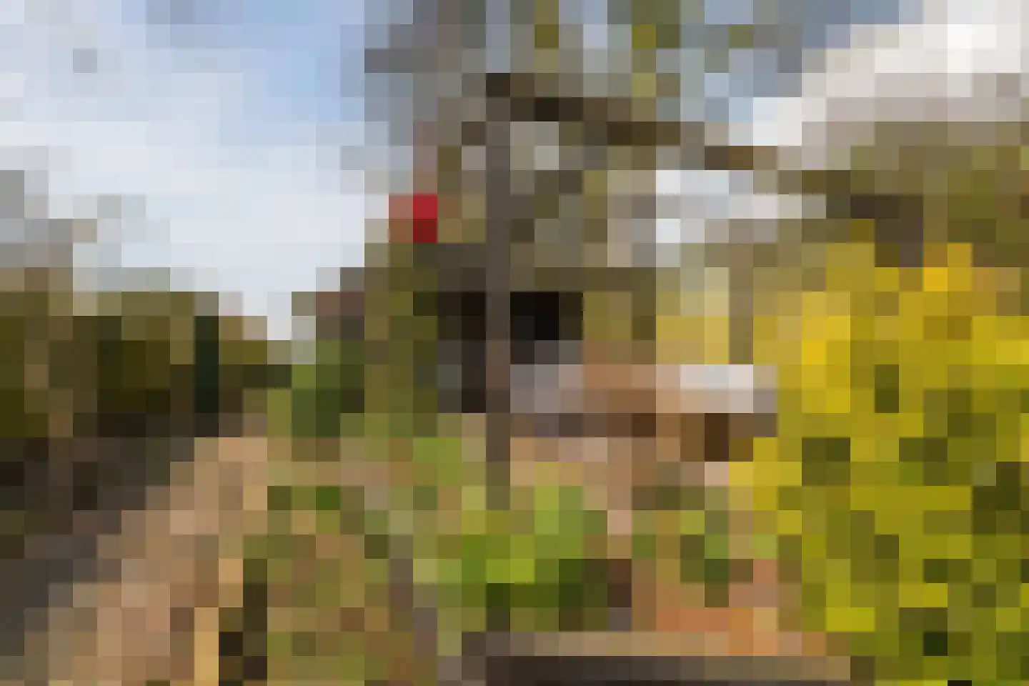 Schoolstraat 5 Pieterzijl thumbnail 39