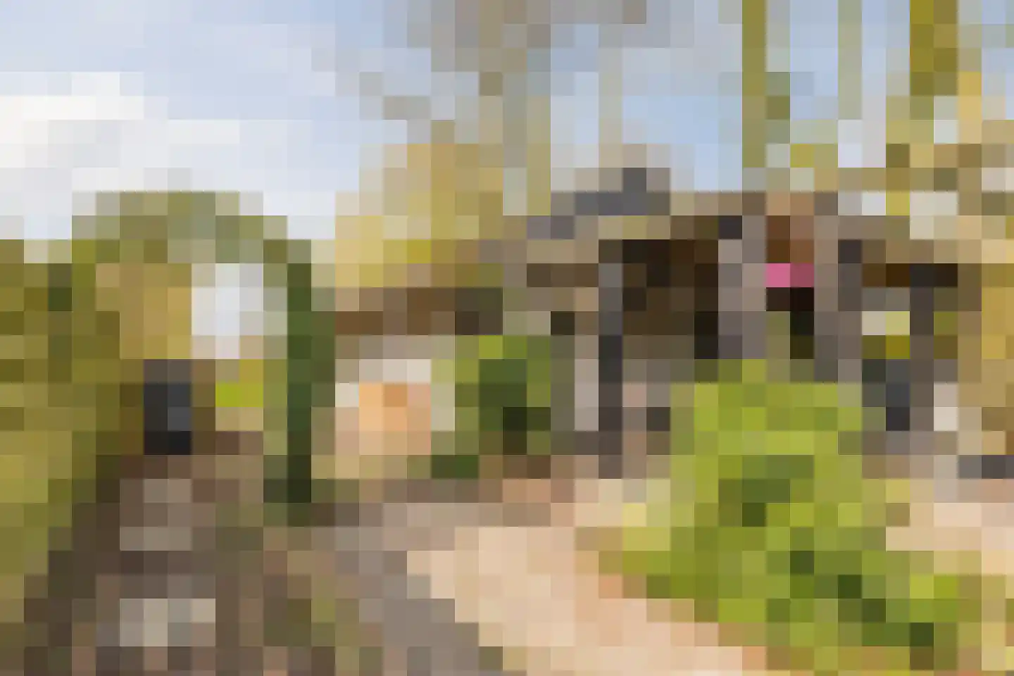 Schoolstraat 5 Pieterzijl thumbnail 40