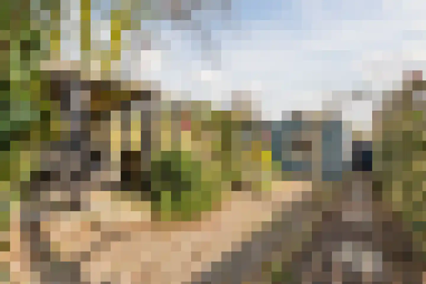 Schoolstraat 5 Pieterzijl thumbnail 41