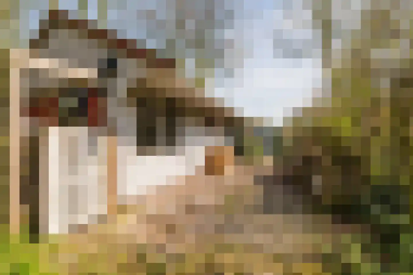 Schoolstraat 5 Pieterzijl thumbnail 42