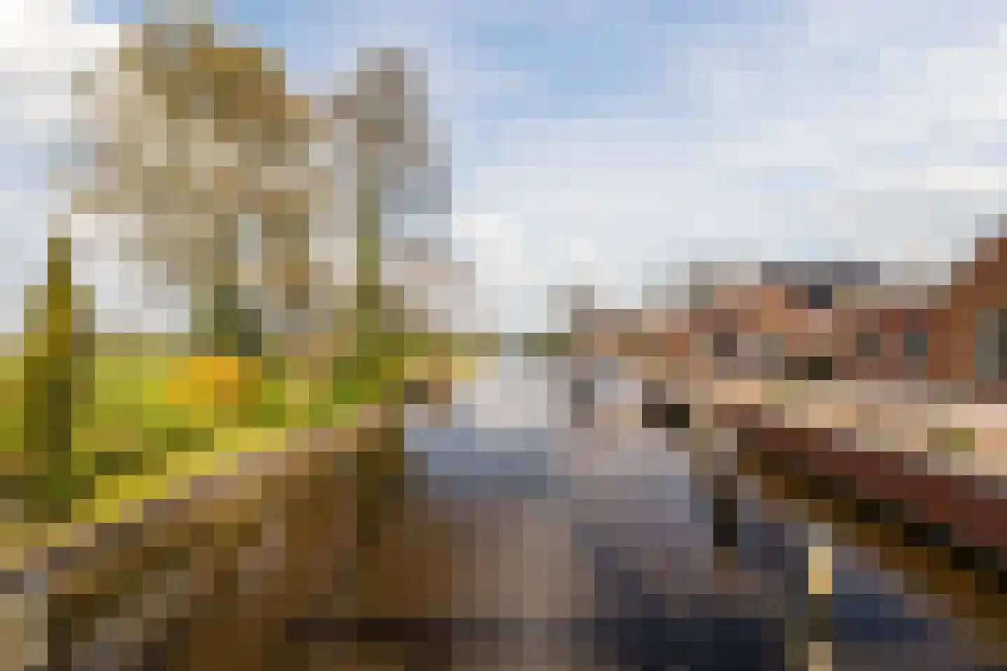 Schoolstraat 5 Pieterzijl thumbnail 50