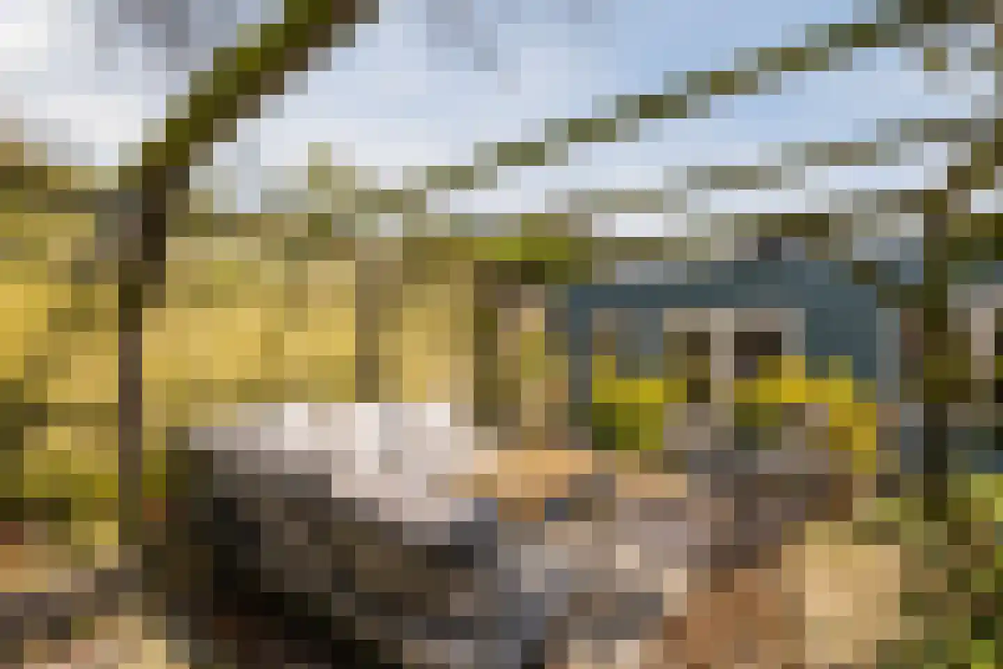 Schoolstraat 5 Pieterzijl thumbnail 6