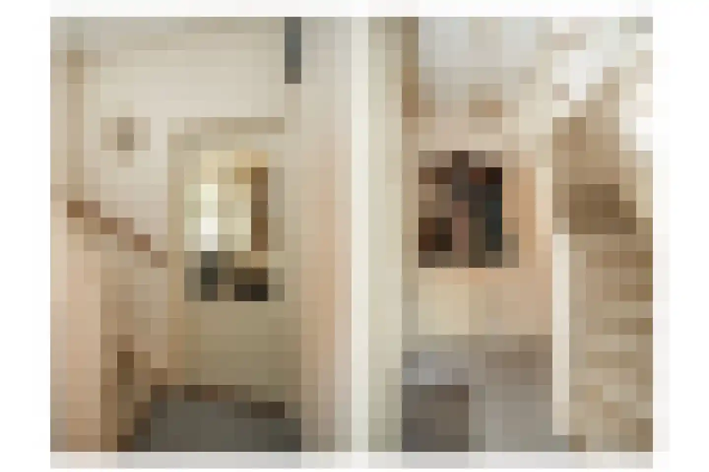 Schoolstraat 5 Rossum thumbnail 11