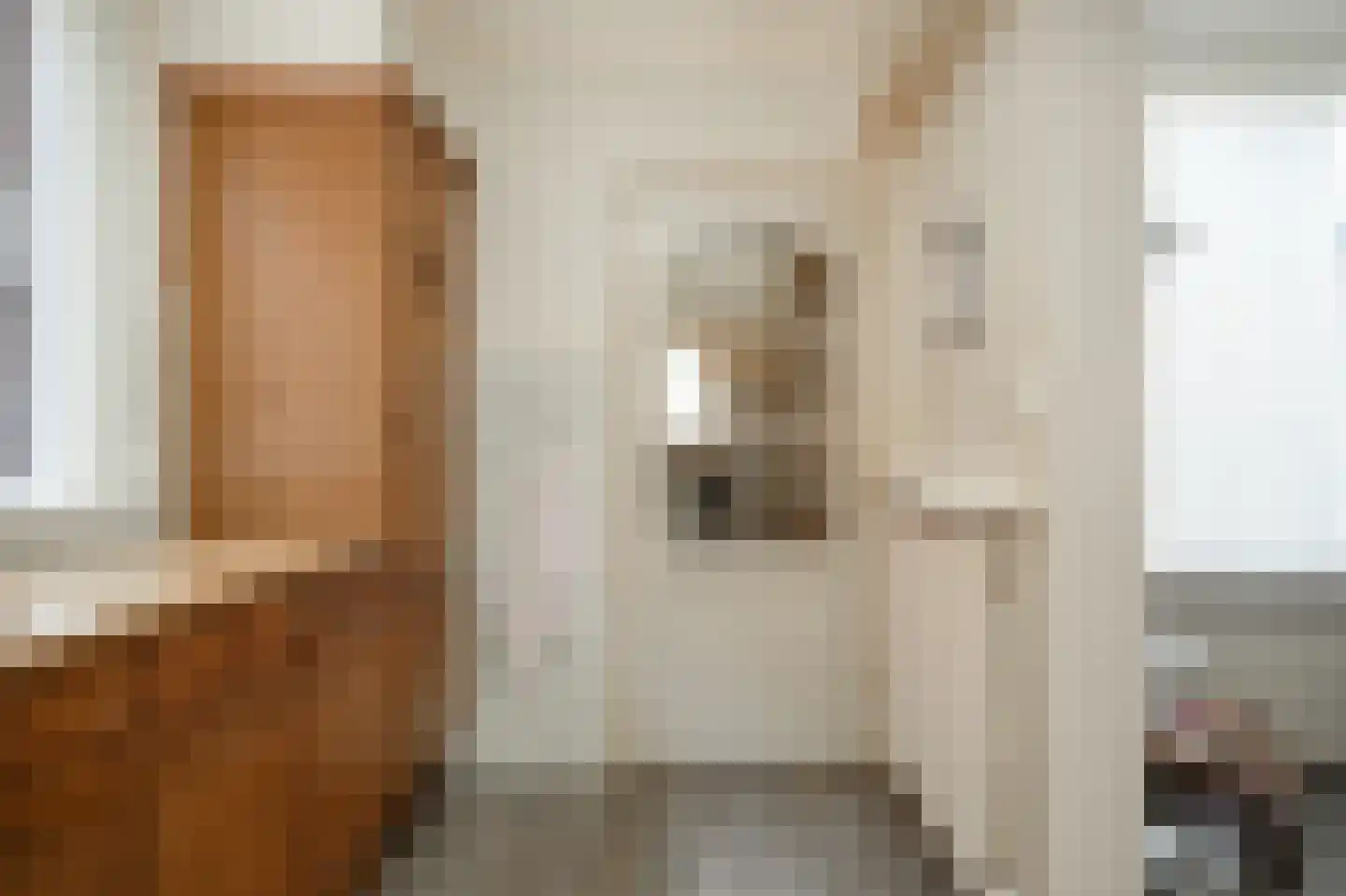 Schoolstraat 5 Rossum thumbnail 25