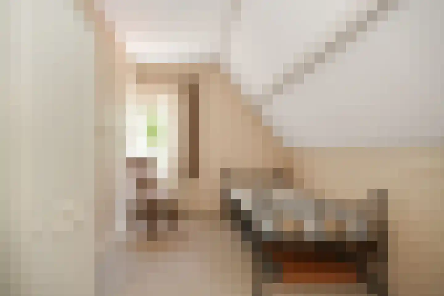 Schoolstraat 5 Rossum thumbnail 31