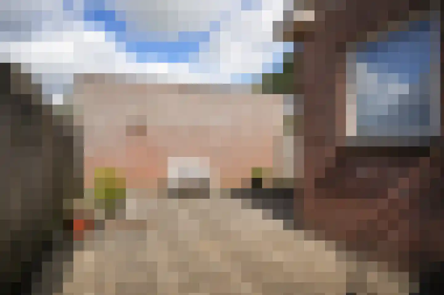Schoolstraat 5 Rossum thumbnail 36