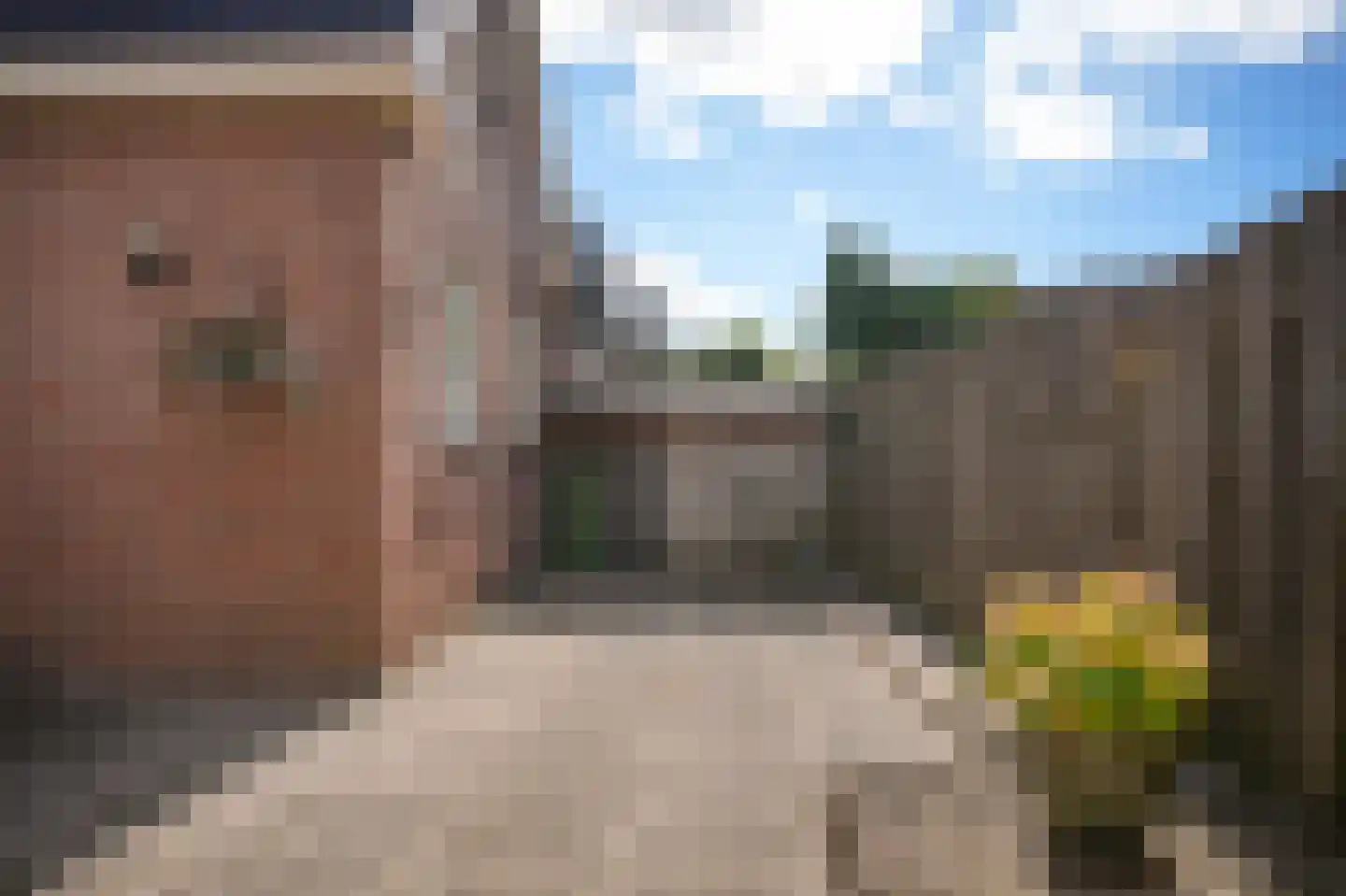 Schoolstraat 5 Rossum thumbnail 5