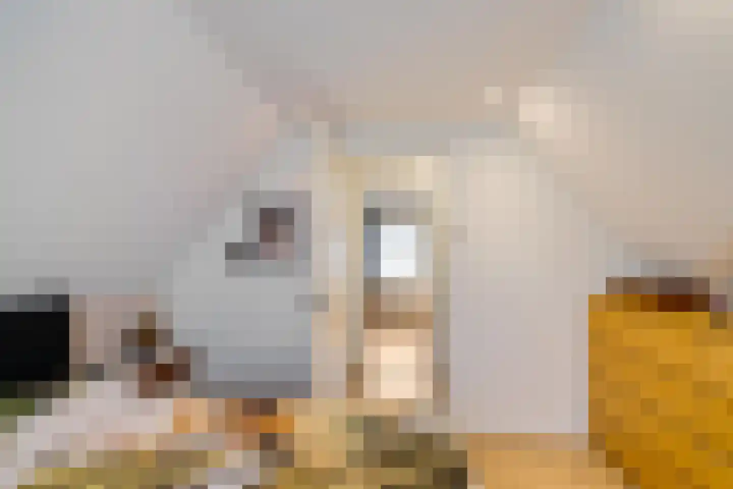 Schoolstraat 5 Usquert thumbnail 30