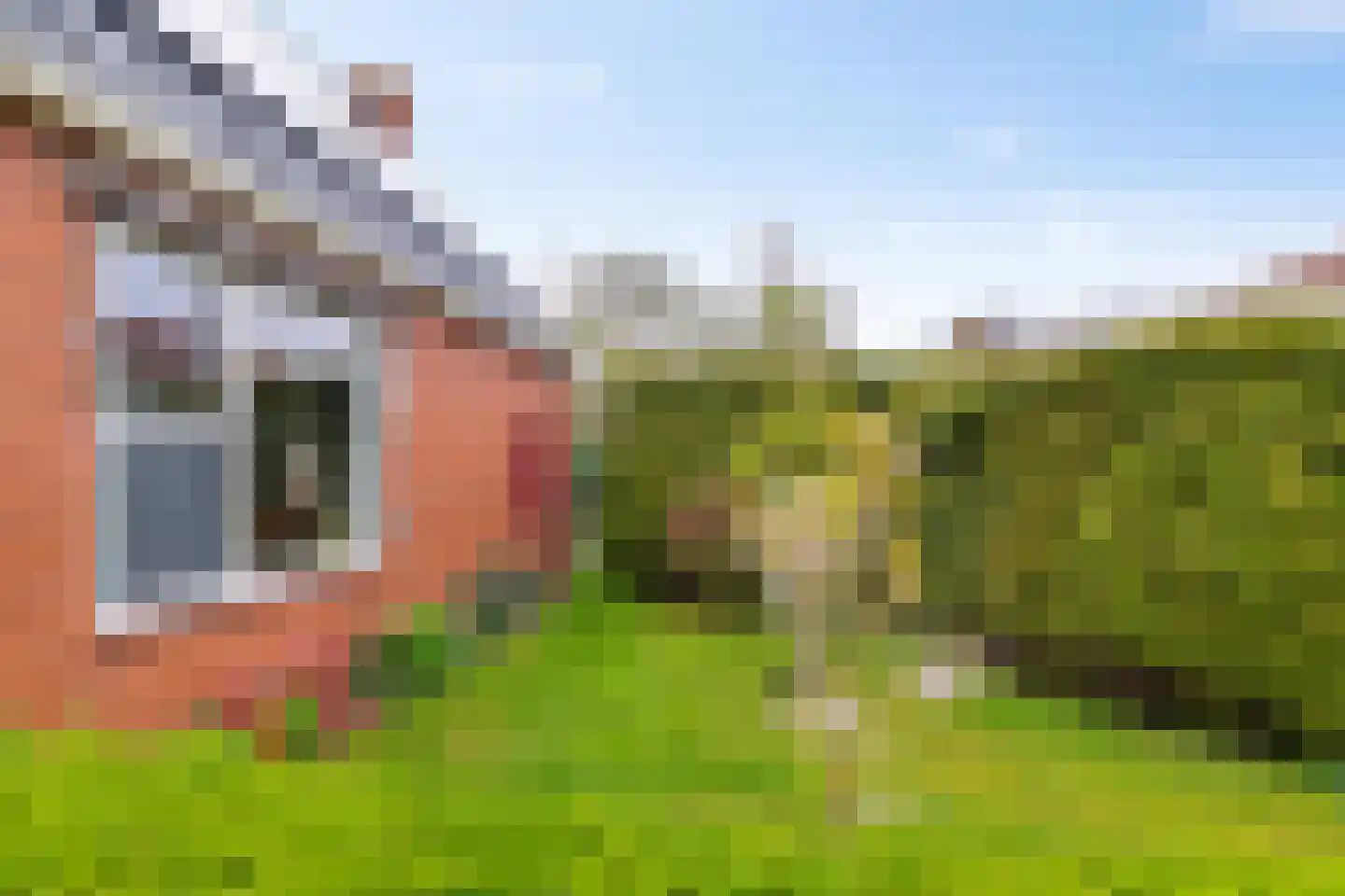 Schoolstraat 5 Usquert thumbnail 34