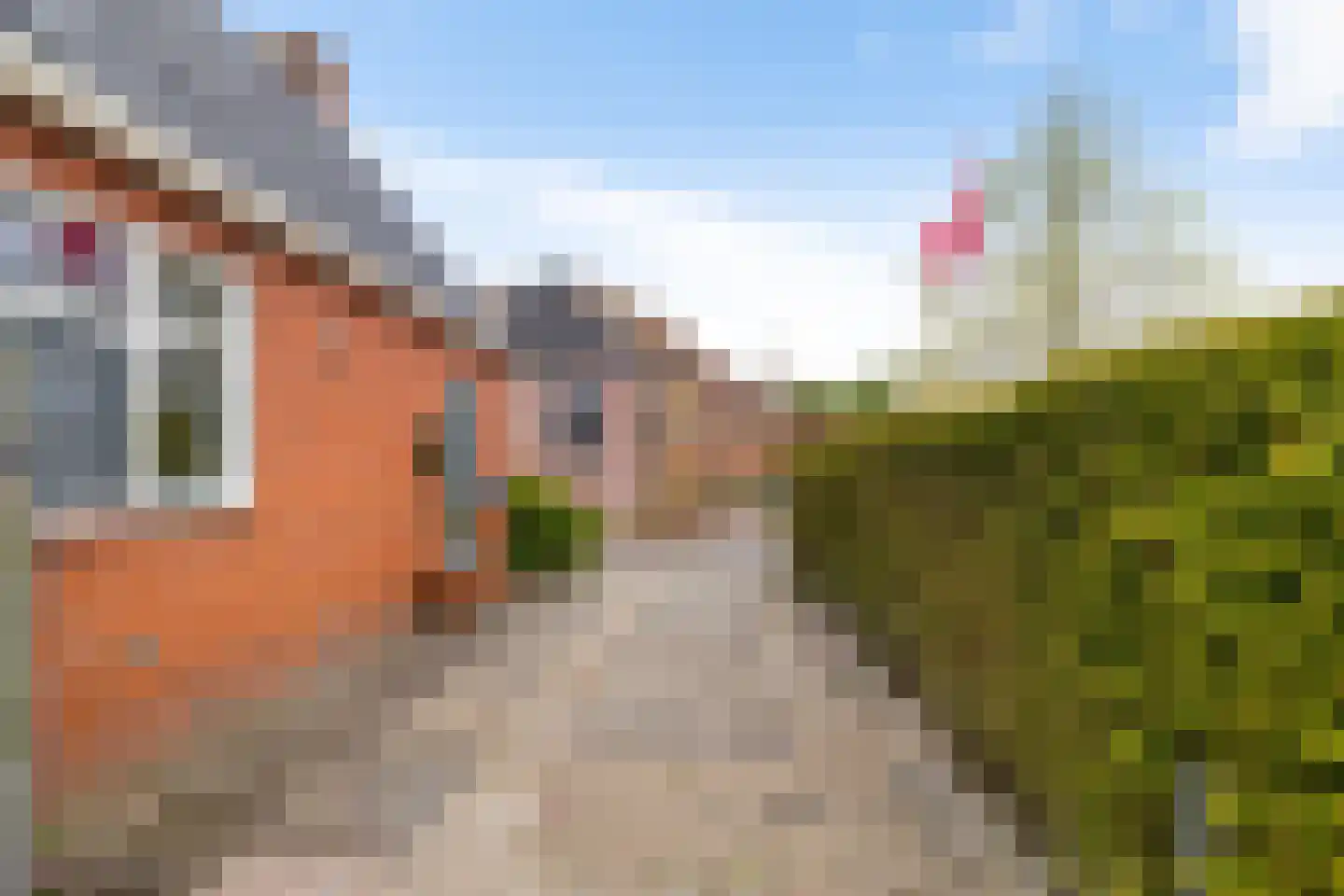 Schoolstraat 5 Usquert thumbnail 8