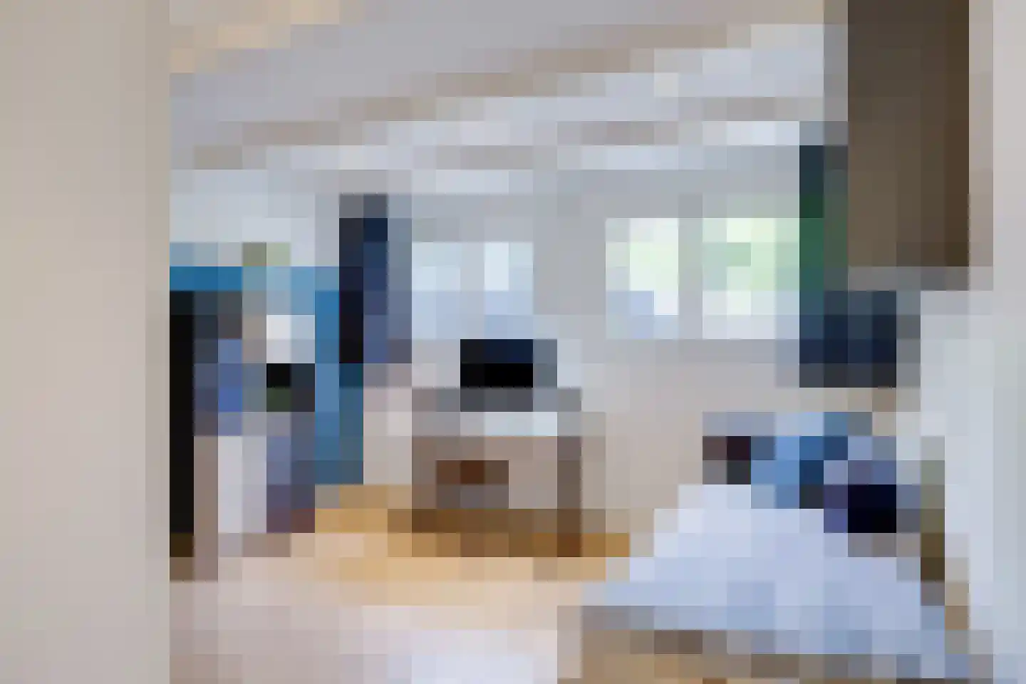 Schoolstraat 5 Utrecht thumbnail 53