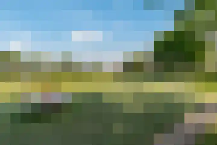 Schoolstraat 5 Veendam thumbnail 36