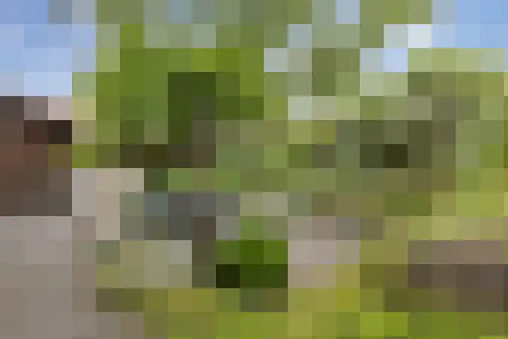 Schoolstraat 5 Veendam thumbnail 37