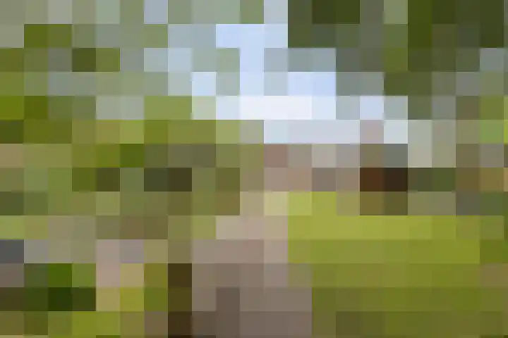 Schoolstraat 5 Veendam thumbnail 38