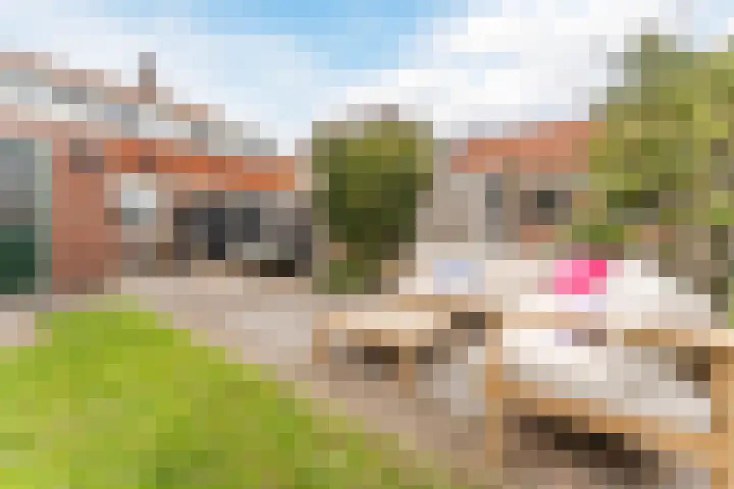 Schoolstraat 5 Veendam thumbnail 43