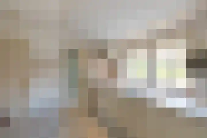 Schoolstraat 5 Vrouwenpolder thumbnail 10