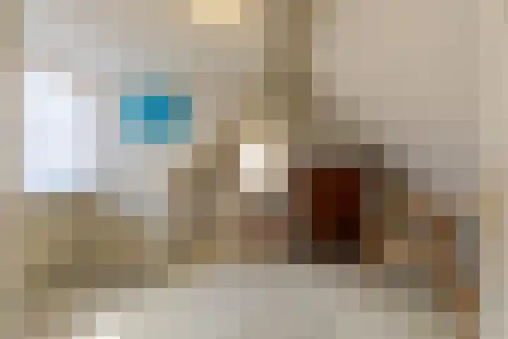 Schoolstraat 5 Vrouwenpolder thumbnail 15