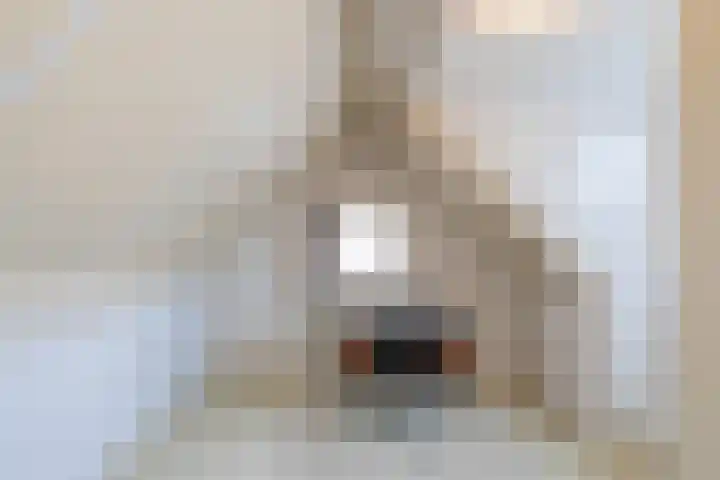 Schoolstraat 5 Vrouwenpolder thumbnail 17