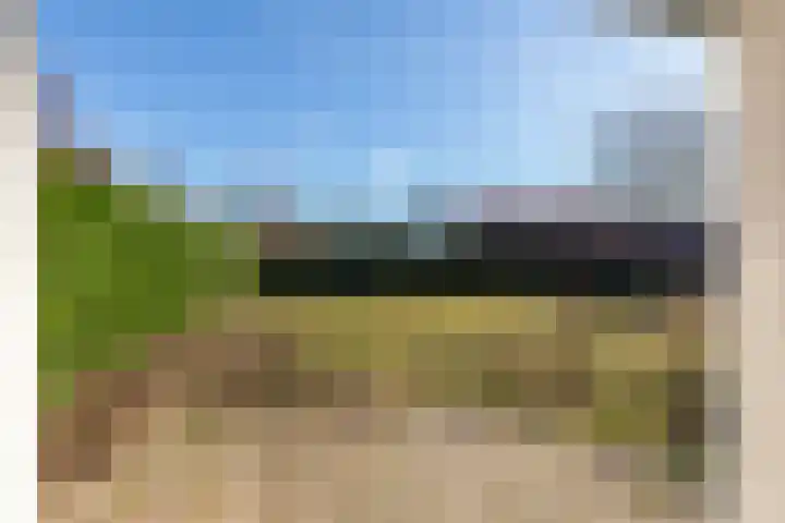 Schoolstraat 5 Vrouwenpolder thumbnail 24