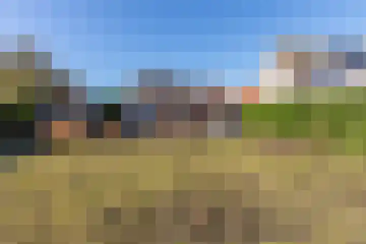 Schoolstraat 5 Vrouwenpolder thumbnail 25