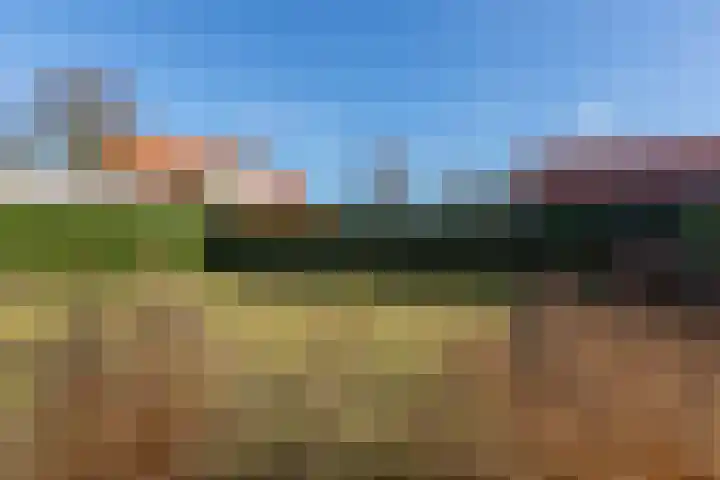 Schoolstraat 5 Vrouwenpolder thumbnail 26