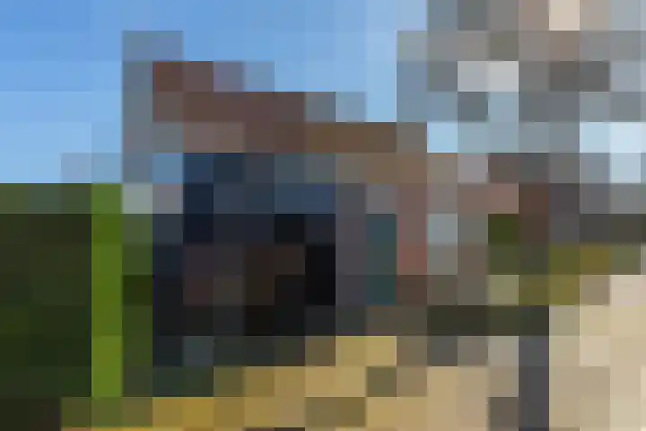 Schoolstraat 5 Vrouwenpolder thumbnail 28