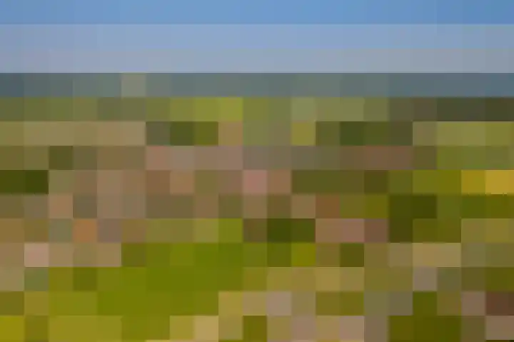 Schoolstraat 5 Vrouwenpolder thumbnail 33