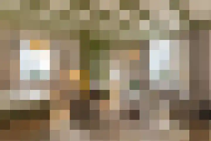 Schoolstraat 5 Vrouwenpolder thumbnail 4