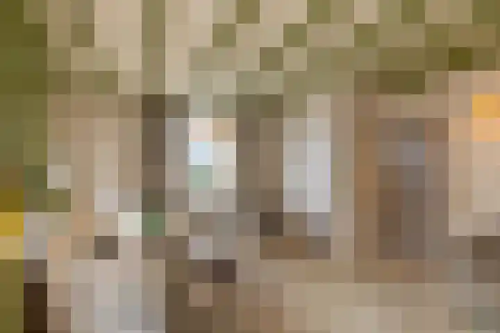 Schoolstraat 5 Vrouwenpolder thumbnail 5