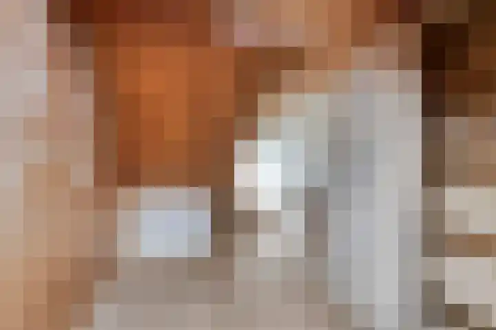 Schoolstraat 5 Wolvega thumbnail 12