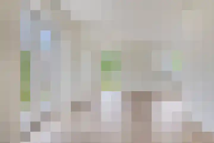 Schoolstraat 5 Wolvega thumbnail 14
