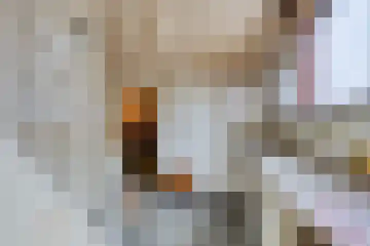 Schoolstraat 5 Wolvega thumbnail 5
