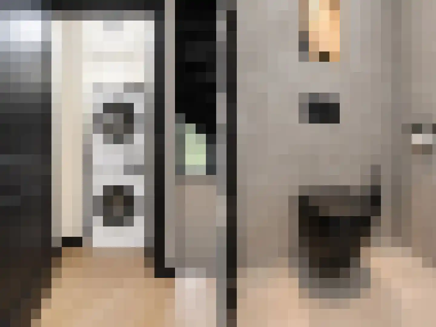 Schoolstraat 5 Zoetermeer thumbnail 43