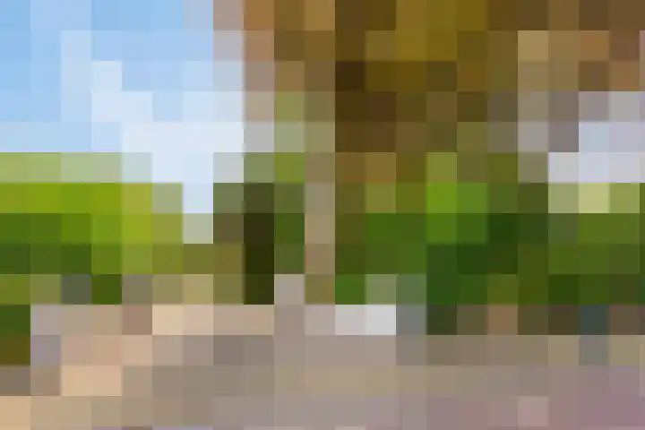 Schoolstraat 50 Eefde thumbnail 12