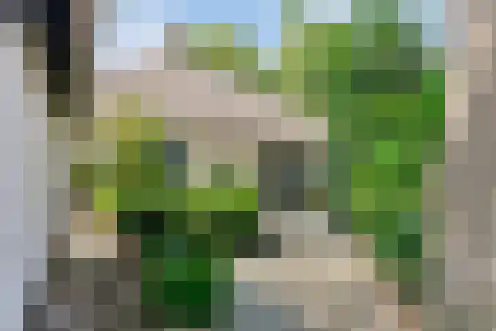 Schoolstraat 50 Eefde thumbnail 15