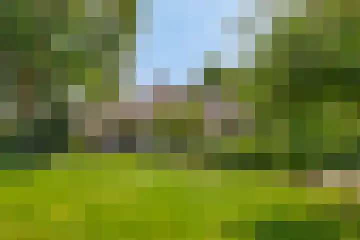 Schoolstraat 50 Eefde thumbnail 16