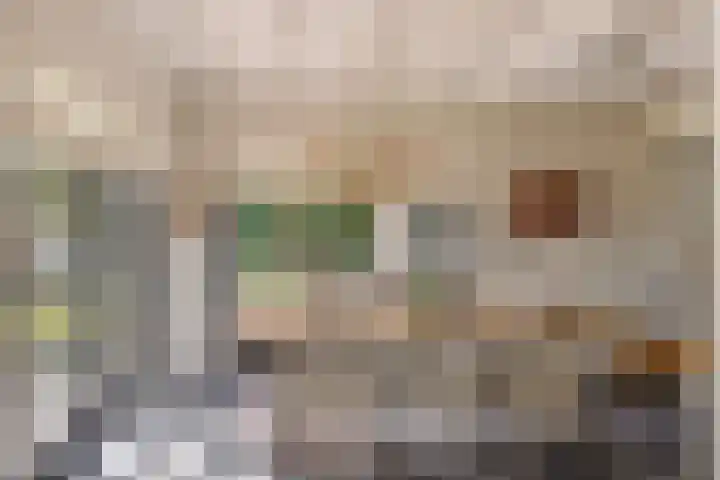 Schoolstraat 50 Eefde thumbnail 25