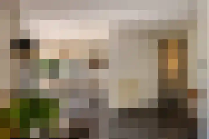 Schoolstraat 50 Eefde thumbnail 37
