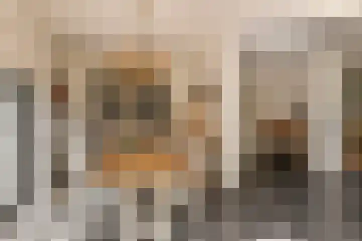 Schoolstraat 50 Eefde thumbnail 38