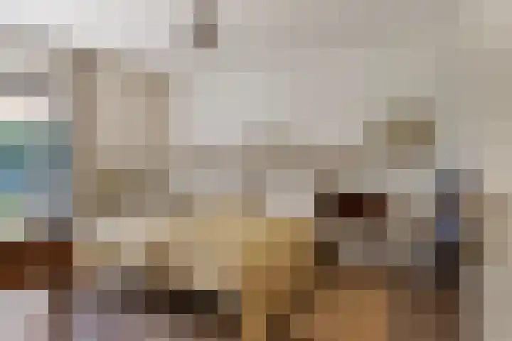 Schoolstraat 50 Eefde thumbnail 43
