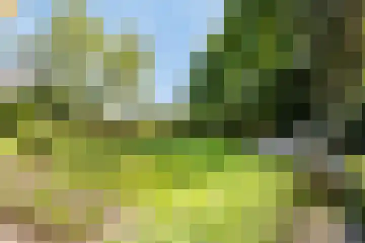 Schoolstraat 50 Eefde thumbnail 47