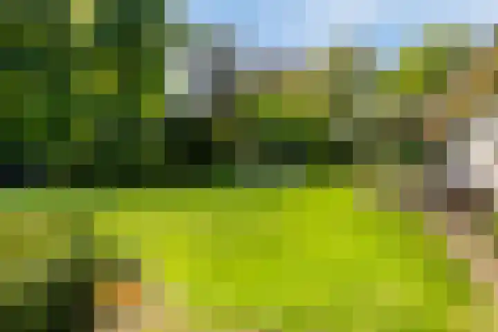 Schoolstraat 50 Eefde thumbnail 61