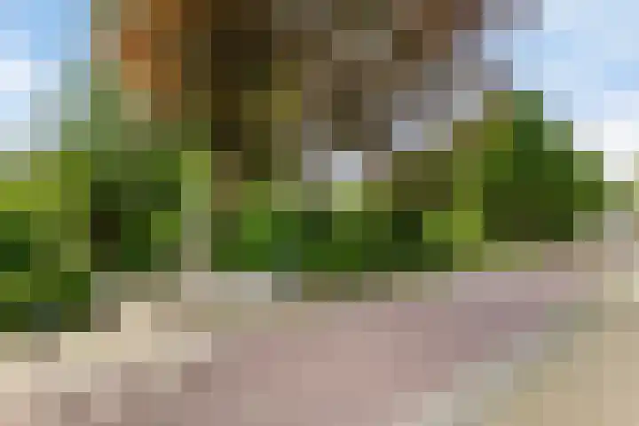 Schoolstraat 50 Eefde thumbnail 68