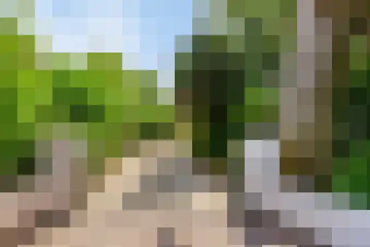 Schoolstraat 50 Eefde thumbnail 69