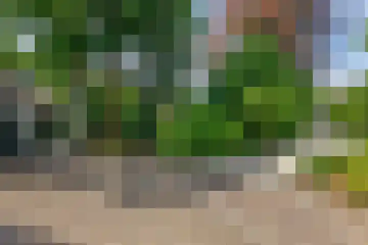 Schoolstraat 50 Eefde thumbnail 70