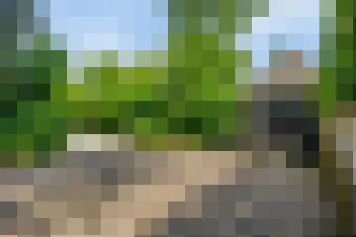 Schoolstraat 50 Eefde thumbnail 71