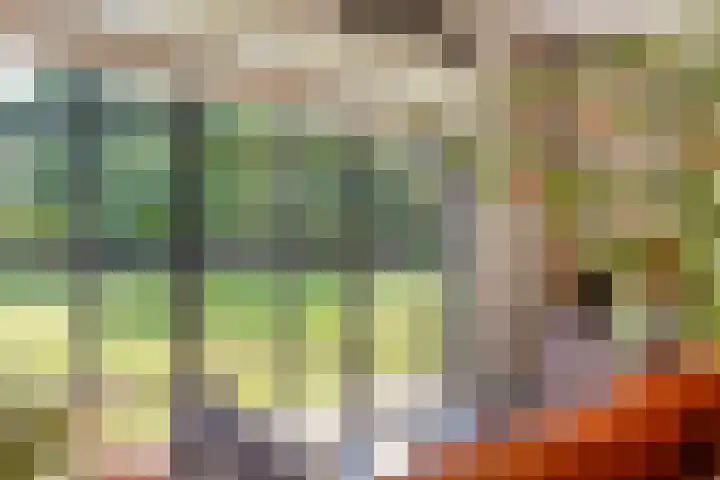 Schoolstraat 50 Eefde thumbnail 8