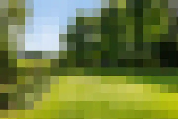 Schoolstraat 50 Eefde thumbnail 9