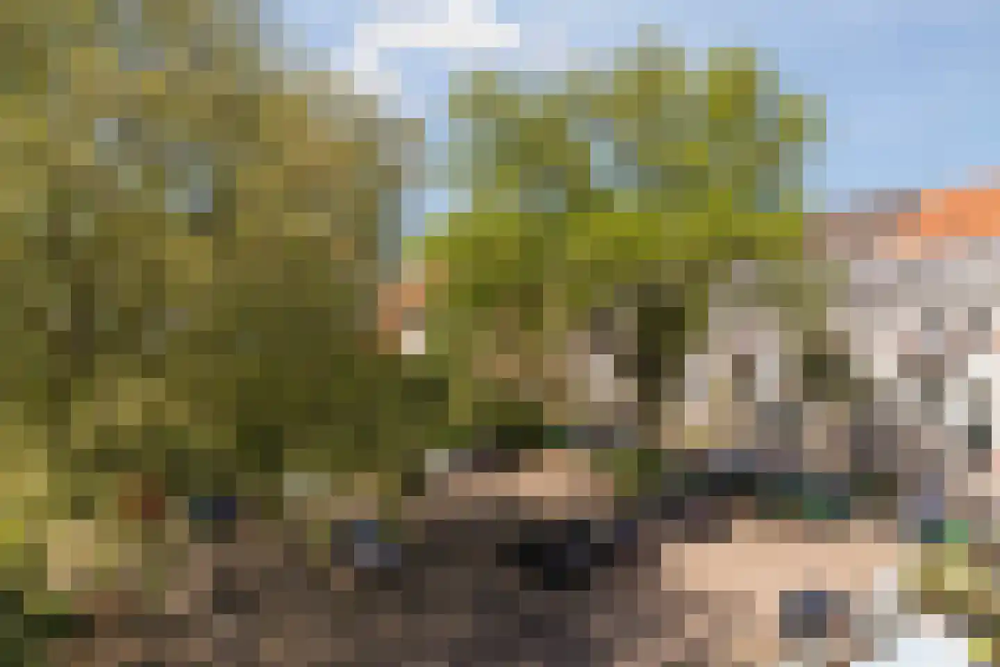 Schoolstraat 51 Arnhem thumbnail 6