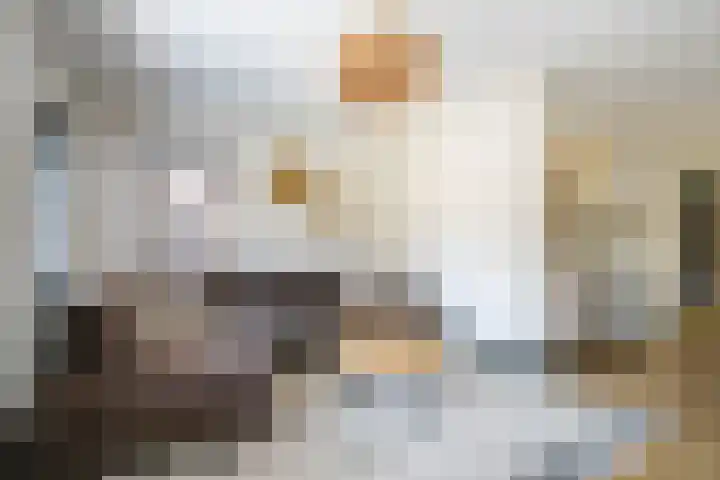 Schoolstraat 51 Bergambacht thumbnail 10